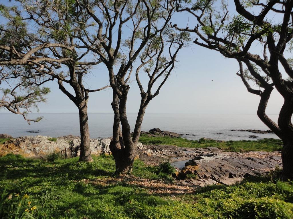 Bajo El Faro Villa Colonia del Sacramento Bagian luar foto